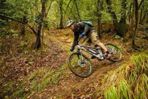 bike_shop_test_2016_bologna_1_web_w564_h376