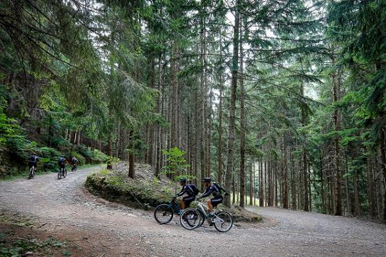 cimone_bike_festival_ph_borghi_pino_solitario_web_w564_h376